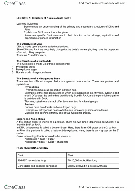 BMS1062 Lecture Notes - Lecture 1: Pentose, Pyrimidine, Nitrogenous Base thumbnail