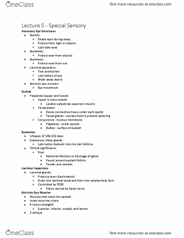 Kinesiology 3222A/B Lecture Notes - Lecture 5: Levator Palpebrae Superioris Muscle, Lacrimal Apparatus, Meibomian Gland thumbnail