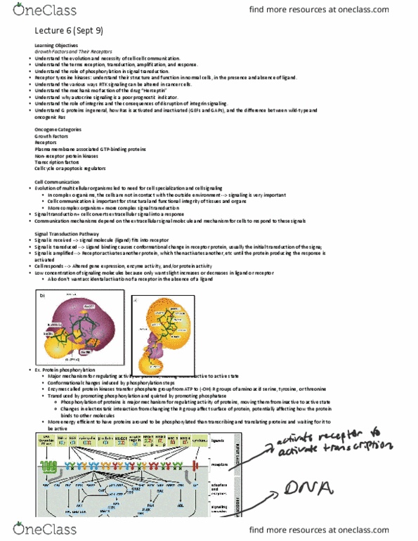 BIO 314 Lecture 6: BIO 314 Lec 6 thumbnail