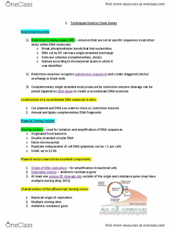 MCB 2050 Lecture Notes - Lecture 1: Complementary Dna, Antimicrobial Resistance, Dna Replication thumbnail