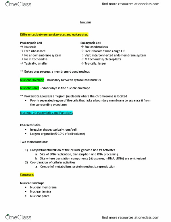 MCB 2050 Lecture Notes - Lecture 13: Nuclear Pore, Enclave And Exclave, Endomembrane System thumbnail