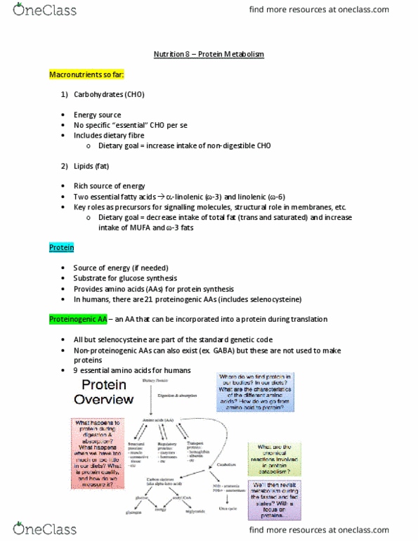 NUTR 3070 Lecture Notes - Lecture 8: Proteinogenic Amino Acid, Selenocysteine, Dietary Fiber thumbnail