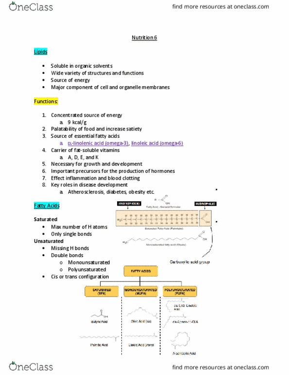 document preview image