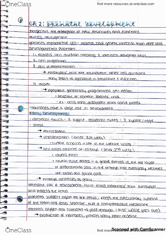 PSYS 150 Chapter 2: Prenatal Development thumbnail