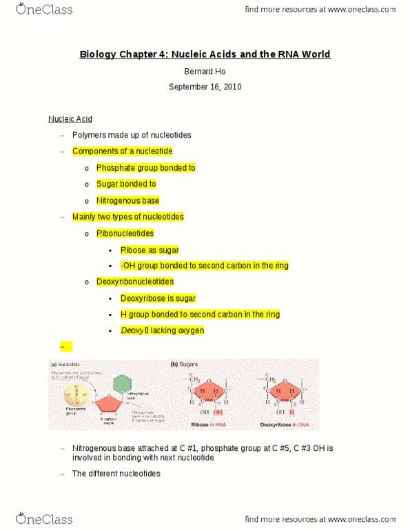 BIOLOGY 1A03 Chapter Notes - Chapter 4: Erwin Chargaff, Maurice Wilkins, Francis Crick thumbnail