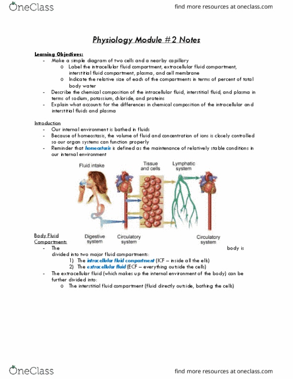 Physiology 2130 Lecture Notes - Lecture 2: Extracellular Fluid, Fluid Compartments, Homeostasis thumbnail