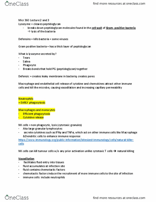 MICR 360 Lecture Notes - Lecture 2: Cytotoxic T Cell, Chemotaxis, Natural Killer Cell thumbnail