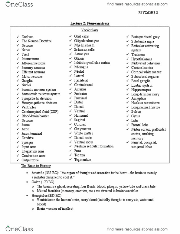 PSYC62H3 Lecture Notes - Lecture 2: Periaqueductal Gray, Substantia Nigra, Basal Ganglia thumbnail