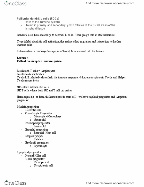 MICR 360 Lecture Notes - Lecture 4: Follicular Dendritic Cells, Cytotoxic T Cell, Hematopoietic Stem Cell thumbnail