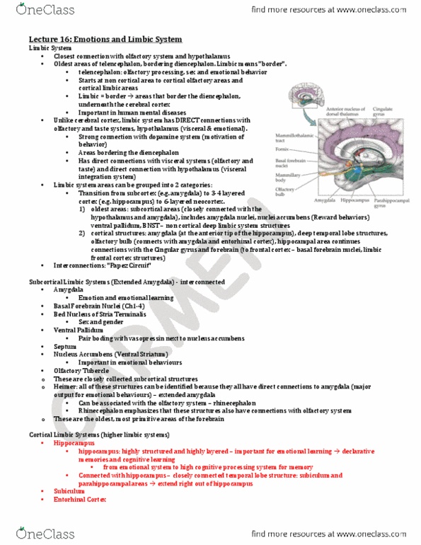 HMB200H1 Lecture Notes - Lecture 16: Temporal Lobe Epilepsy, Temporal Lobe, Frontal Lobe thumbnail