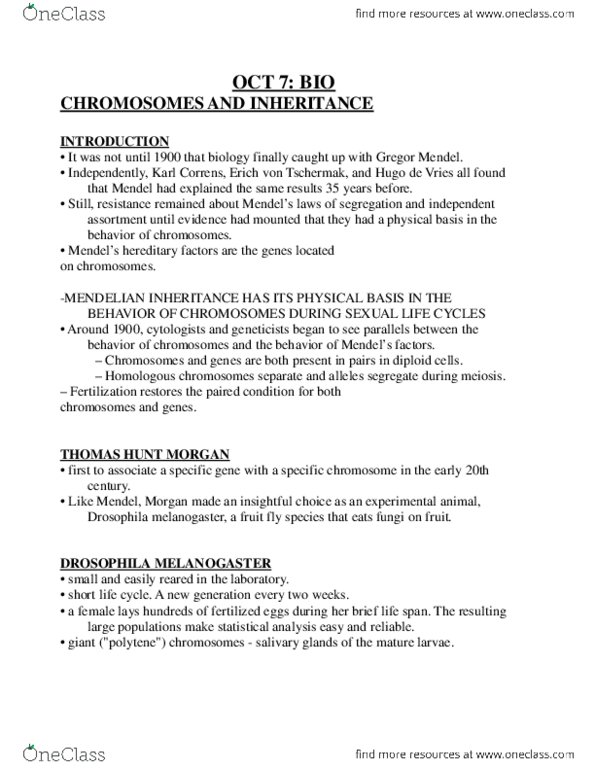 Biology 1201A Lecture Notes - Polytene Chromosome, Chromosome thumbnail