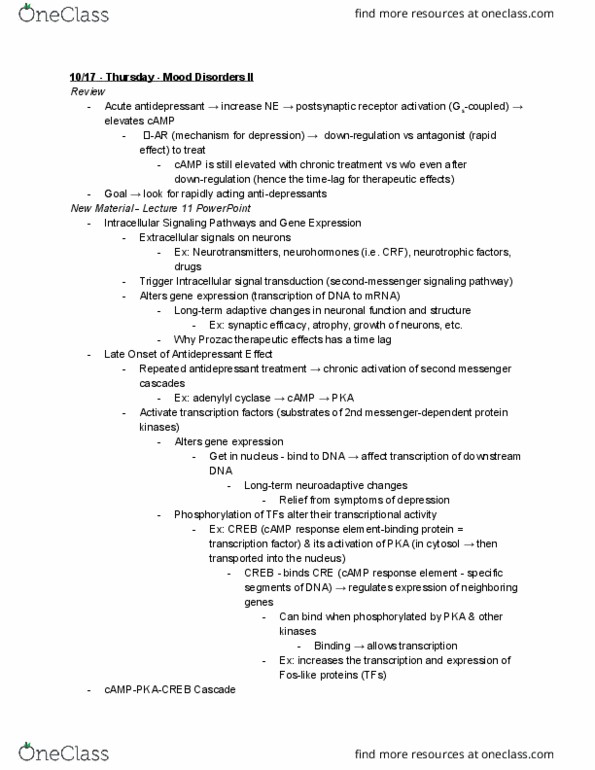 NEU 365T Lecture Notes - Lecture 13: Adenylyl Cyclase, Neurotrophic Factors, Protein Kinase thumbnail