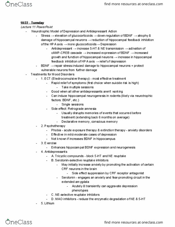 NEU 365T Lecture Notes - Lecture 14: Electroconvulsive Therapy, Neurotrophic Factors, Retrograde Amnesia thumbnail