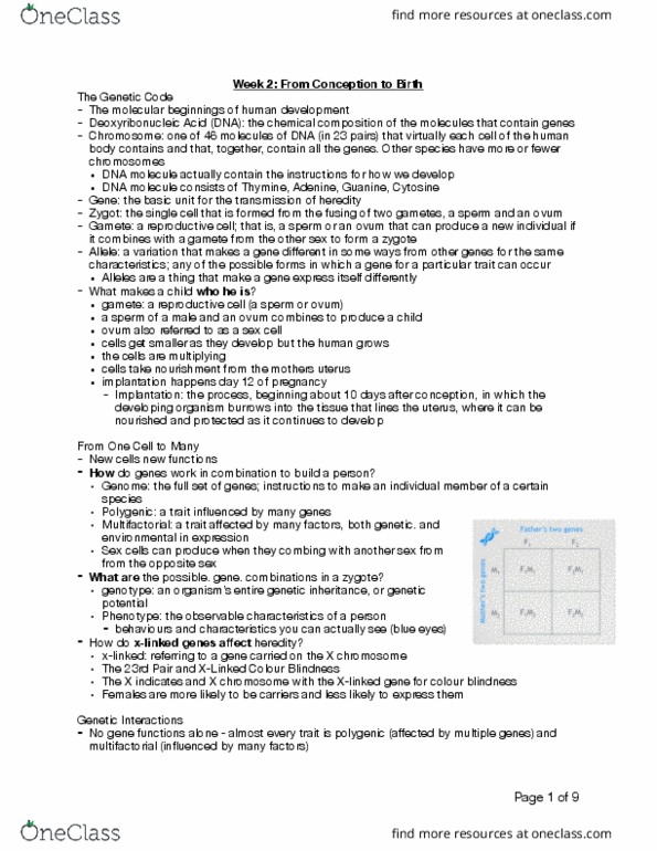 FRHD 1010 Lecture Notes - Lecture 2: Color Blindness, Zygote, Gamete thumbnail