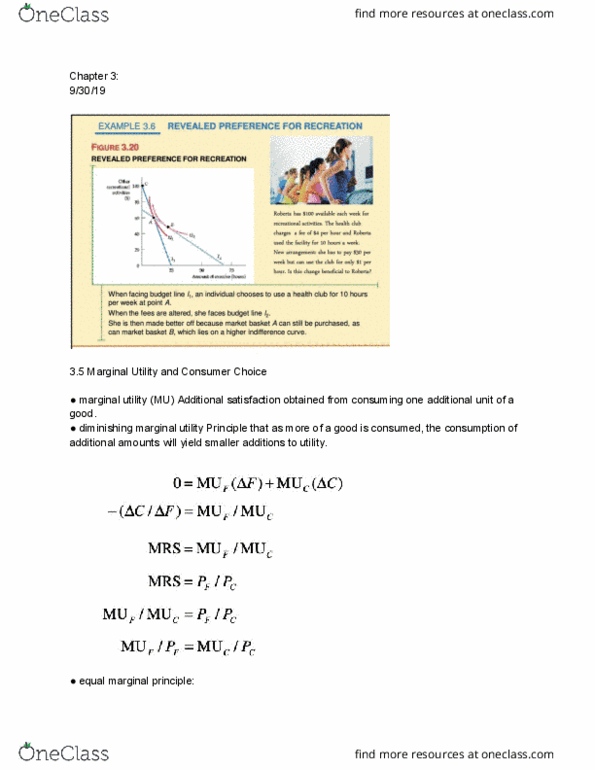 ARE 2150 Lecture Notes - Lecture 9: Marginal Utility, Hurricane Sandy thumbnail