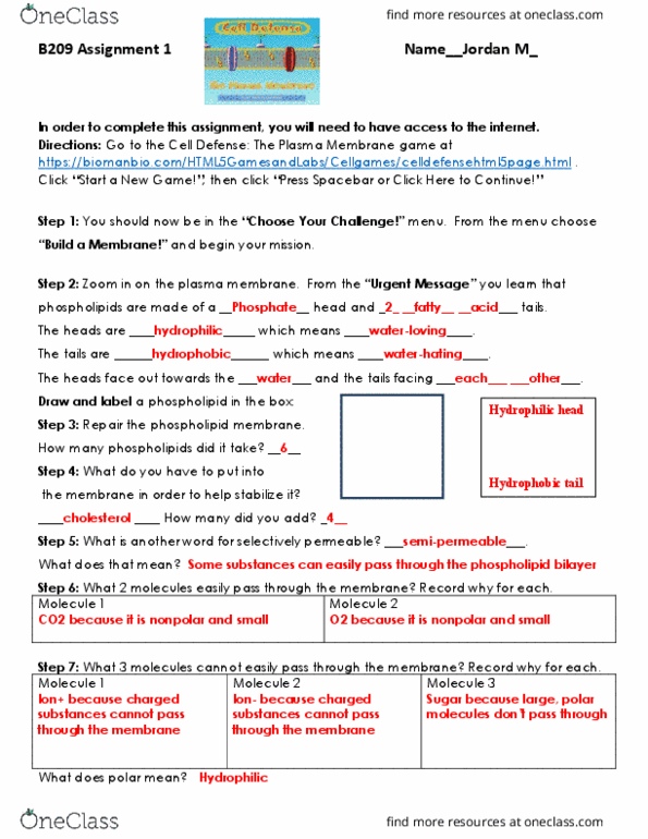 Cell Defense Answer Key