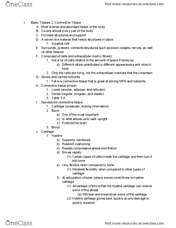 Health Sciences 2300A/B Lecture Notes - Lecture 2: Hyaline, Compressive Stress, Loose Connective Tissue thumbnail