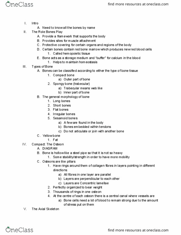 Health Sciences 2300A/B Lecture Notes - Lecture 4: Bone Marrow, Sesamoid Bone, Osteon thumbnail