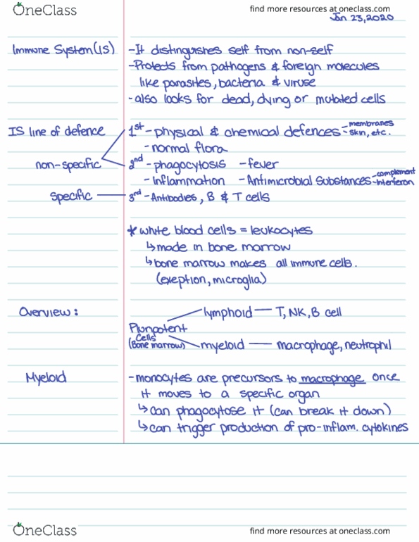 document preview image
