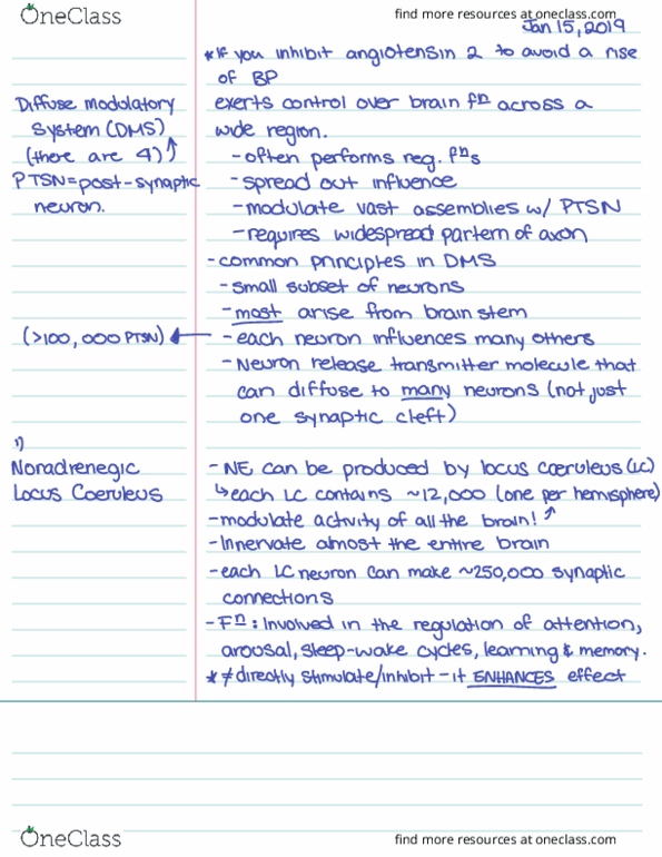 NEUR 3207 Lecture Notes - Lecture 2: Locus Coeruleus, Neurotransmitter, Glossary Of Ancient Roman Religion thumbnail