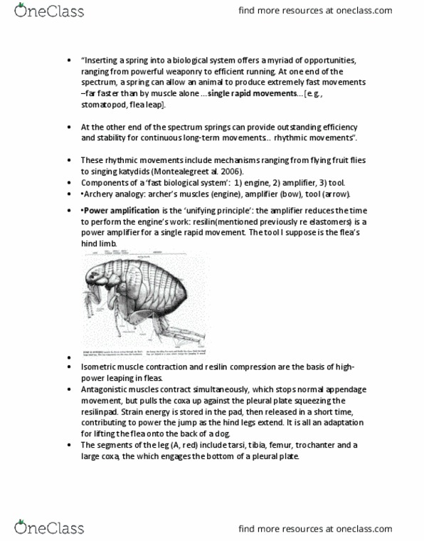 BIO325H5 Lecture Notes - Lecture 1: Mantis Shrimp, Parasitism thumbnail