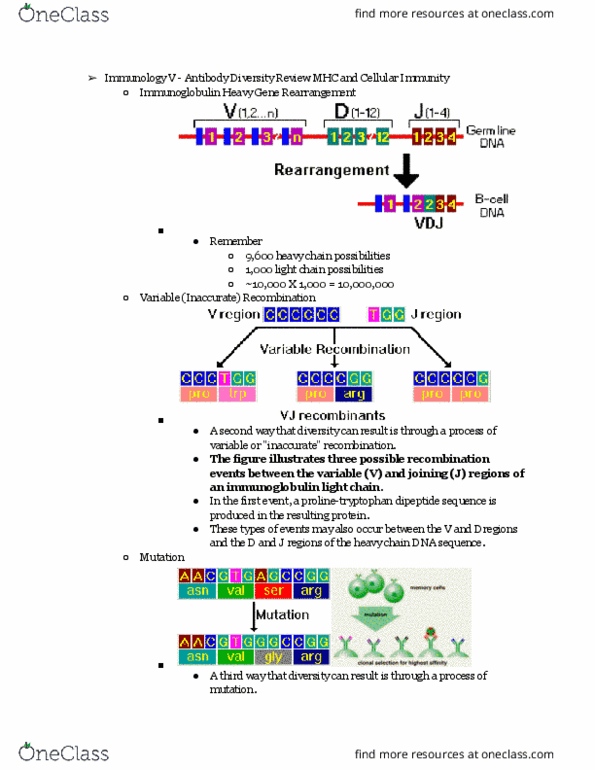 document preview image