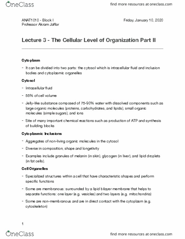 ANAT 1010 Lecture Notes - Lecture 3: Lipid Bilayer, Inclusion Bodies, Melanin thumbnail