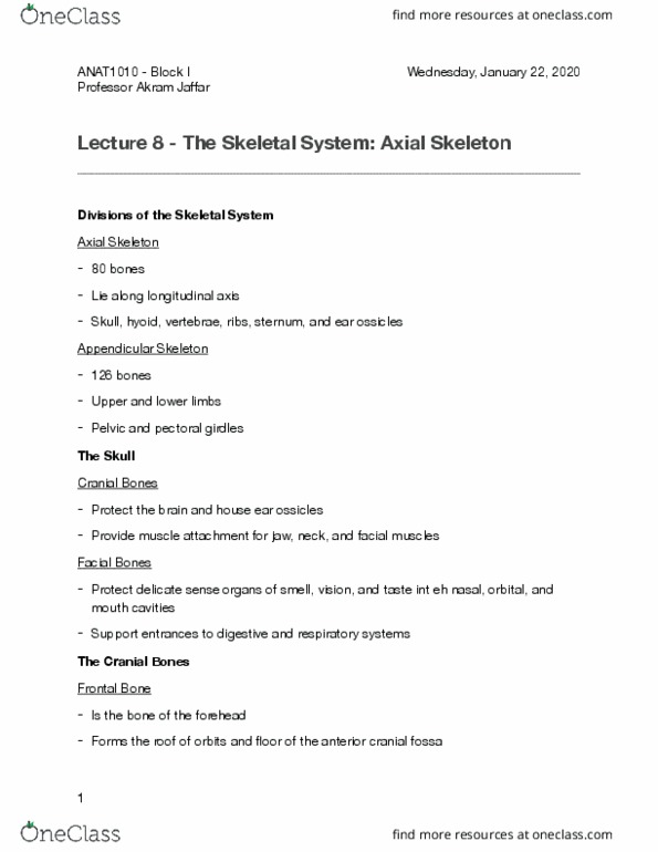 ANAT 1010 Lecture Notes - Lecture 8: Anterior Cranial Fossa, Cranial Cavity, Hyoid Bone thumbnail