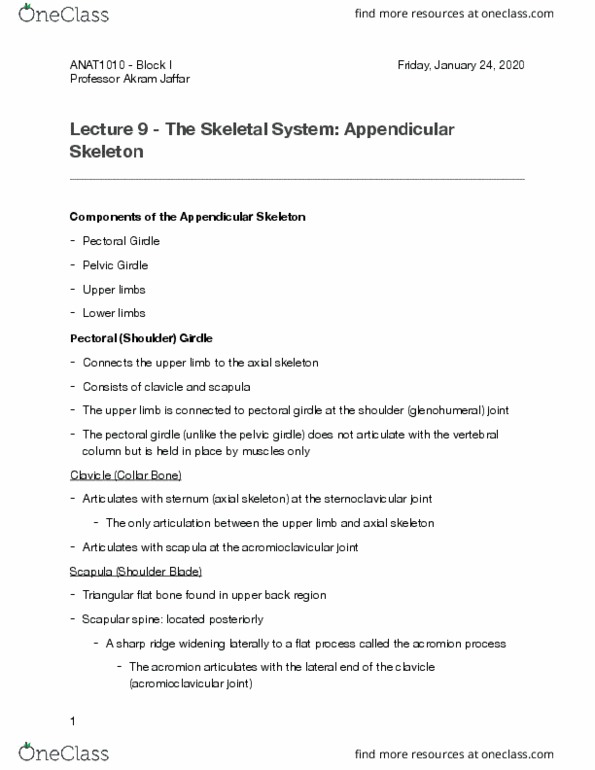 ANAT 1010 Lecture Notes - Lecture 9: Shoulder Girdle, Acromioclavicular Joint, Axial Skeleton thumbnail