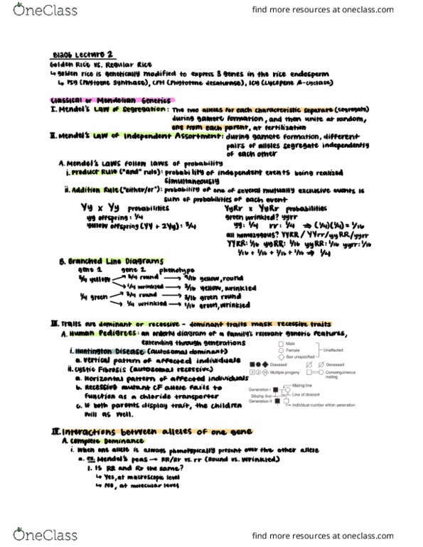 CAS BI 206 Lecture Notes - Lecture 2: Phytoene Synthase, Mutual Exclusivity, Mendelian Inheritance thumbnail