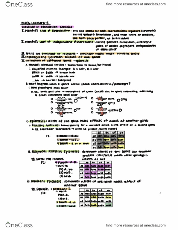 CAS BI 206 Lecture Notes - Lecture 3: Epistasis, Mendelian Inheritance, Zygosity thumbnail