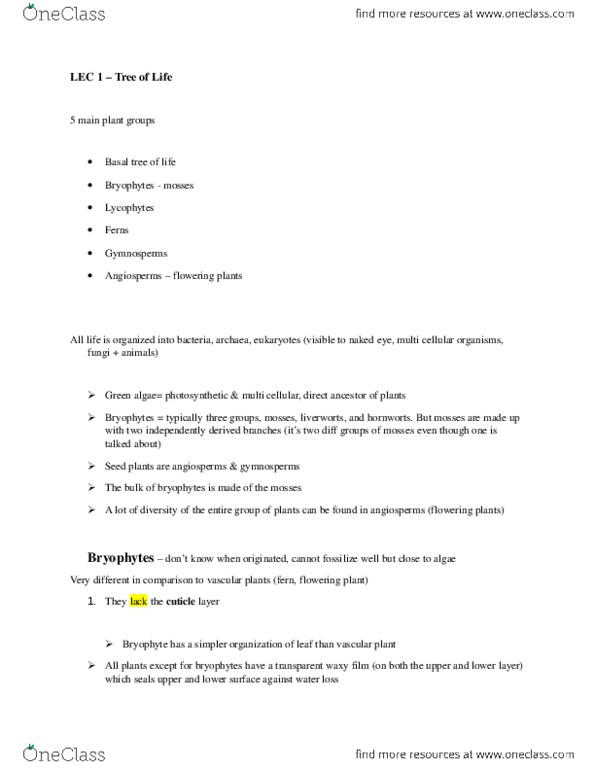 BIOA02H3 Lecture Notes - Lycopodiophyta, Marchantiophyta, Sporophyte thumbnail