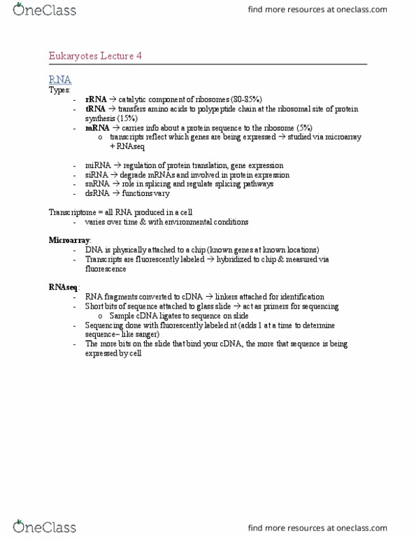 MBIO 4612 Lecture Notes - Lecture 4: Rna-Seq, Transcriptome, Small Interfering Rna thumbnail