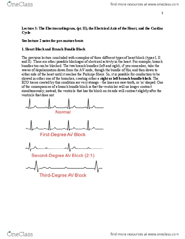 BIOC34H3 Lecture Notes - Lecture 3: Ventricular Fibrillation, Qrs Complex, Heart Block thumbnail