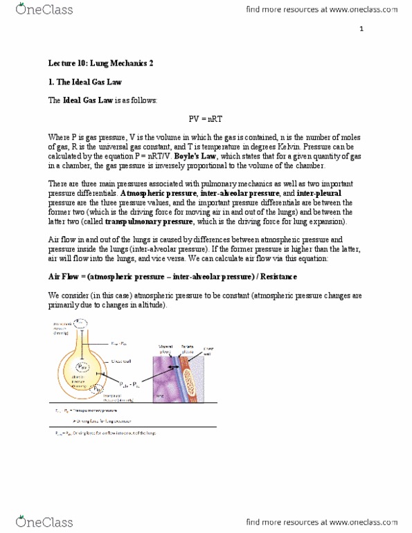 BIOC34H3 Lecture Notes - Lecture 10: Ideal Gas Law, Transpulmonary Pressure, Alveolar Pressure thumbnail