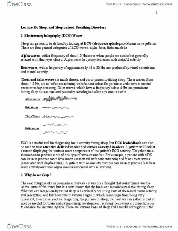 BIOC34H3 Lecture Notes - Lecture 15: Obstructive Sleep Apnea, Excessive Daytime Sleepiness, Theta Wave thumbnail