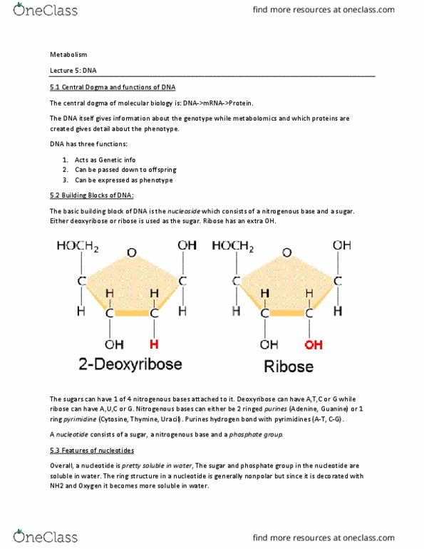 BIOL 540 Lecture Notes - Lecture 5: Central Dogma Of Molecular Biology, Metabolomics, Nitrogenous Base thumbnail