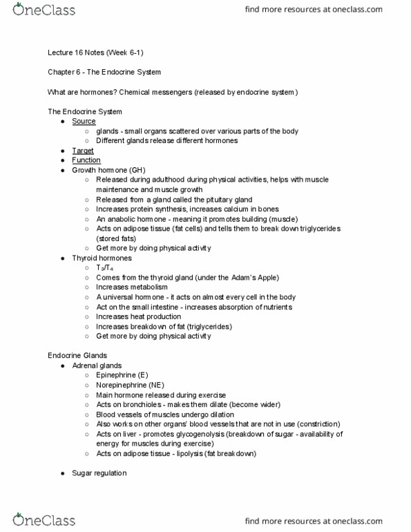 PHYSCI 5 Lecture Notes - Lecture 16: Thyroid, Adrenal Gland, Adipose Tissue cover image