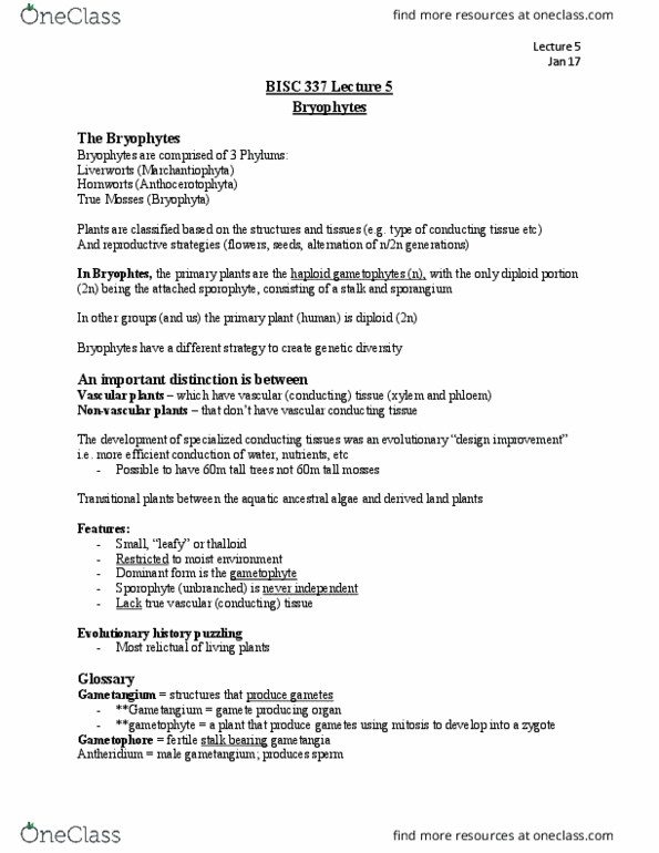 BISC 337 Lecture Notes - Lecture 5: Hornwort, Thallus, Gametophore thumbnail