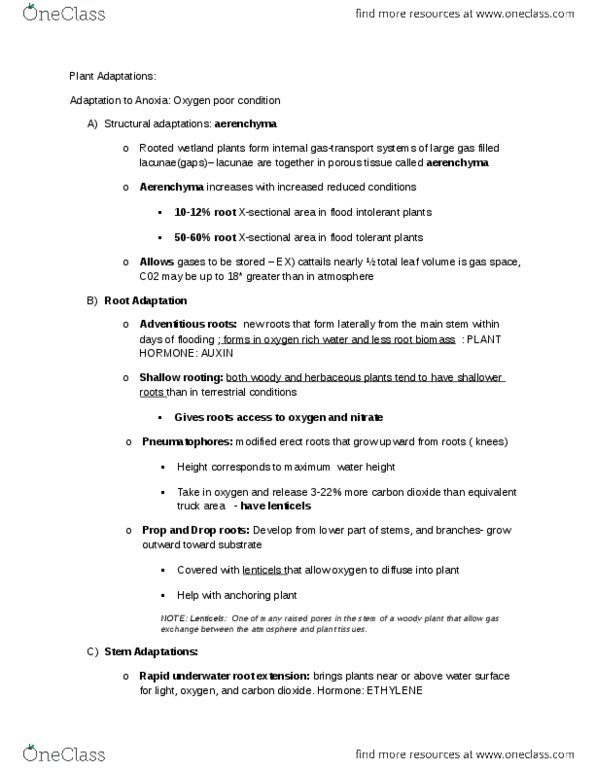 BIOL462 Lecture Notes - Aerenchyma, Woody Plant, Aerial Root thumbnail