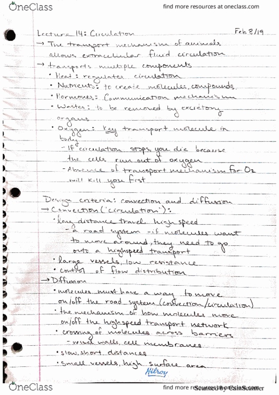 BIOL 3079 Lecture 14: Circulation thumbnail