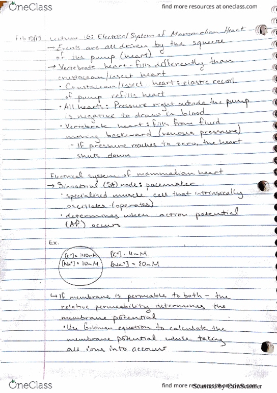 BIOL 3079 Lecture 16: Electrical System of Mammalian Heart thumbnail