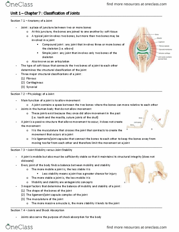 HP 2306 Chapter Notes - Chapter 7: Joint Stability, Connective Tissue, Clavicle thumbnail