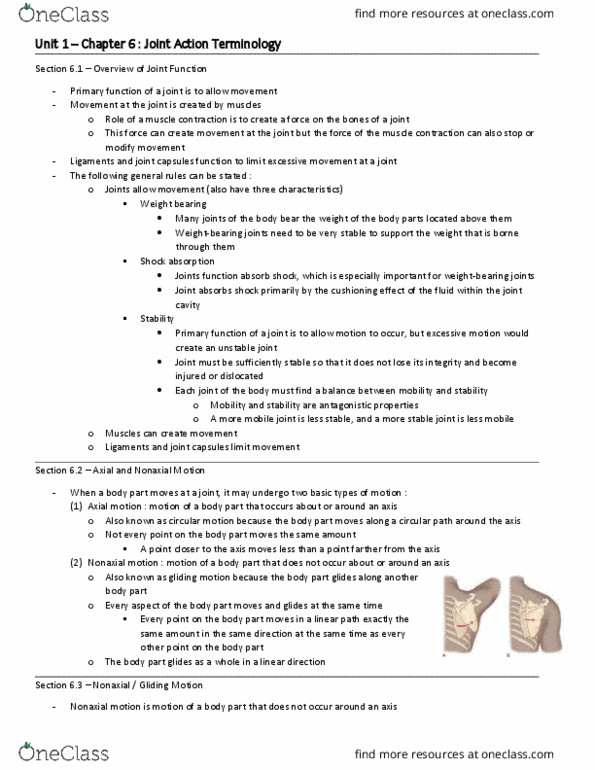 HP 2306 Chapter Notes - Chapter 6: Weight-Bearing, Temporomandibular Joint, Ulna thumbnail