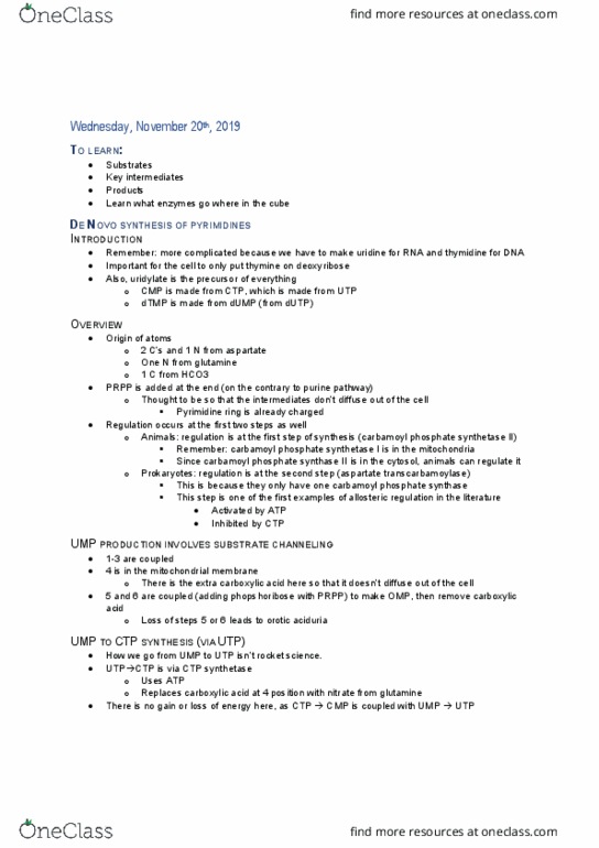 BIOC 311 Lecture Notes - Lecture 25: Carbamoyl Phosphate Synthetase I, Carbamoyl Phosphate Synthetase, Orotic Aciduria thumbnail