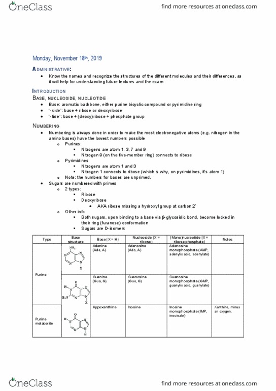 BIOC 311 Lecture Notes - Lecture 24: Inosinic Acid, Ribose 5-Phosphate, Inosine thumbnail