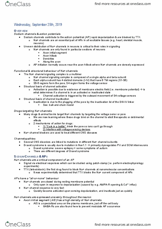 PHAR 562 Lecture Notes - Lecture 8: Axon Hillock, Resting Potential, Sodium Channel thumbnail