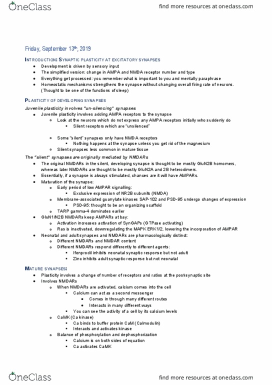 PHAR 562 Lecture Notes - Lecture 4: Dlg4, Ifenprodil, Grin2B thumbnail