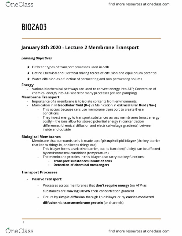 BIOLOGY 2A03 Lecture Notes - Lecture 2: Lipid Bilayer, Membrane Transport, Transmembrane Protein thumbnail