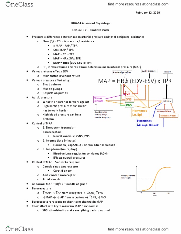 BIO412H5 Lecture Notes - Lecture 6: Parasympathetic Nervous System, Adrenal Medulla, Stroke Volume thumbnail
